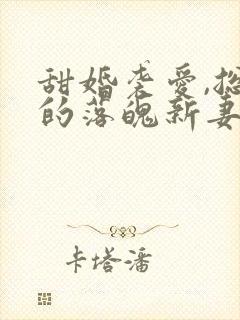 甜婚袭爱,总裁的落魄新妻小说免费阅读