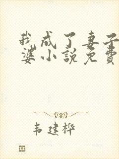 我成了妻子的老婆小说免费阅读全文封面