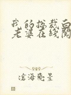 我的总裁白富美老婆在线阅读无弹窗