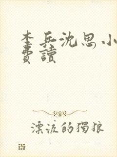 李兵沈思小说免费读