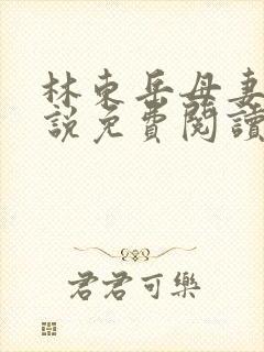 林东岳母妻子小说免费阅读全文封面