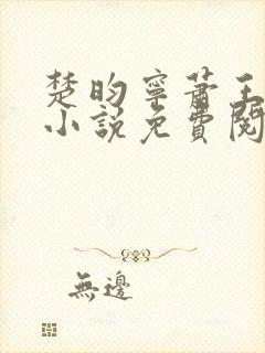 楚昀宁萧王穿越小说免费阅读无弹窗