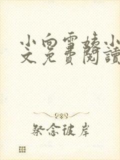 小向雪姨小说全文免费阅读最新章节封面