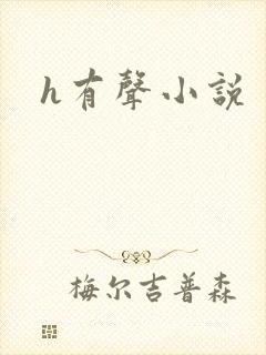 h有声小说