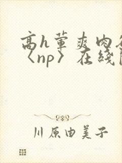 高h荤爽肉欲文〈np〉在线阅读