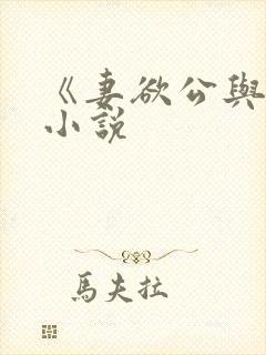 《妻欲公与媳》小说封面