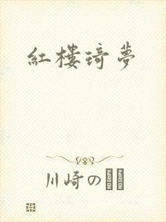 红楼琦梦