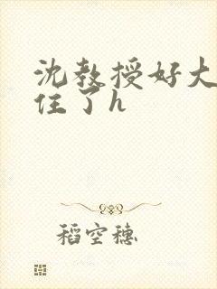 沈教授好大含不住了h