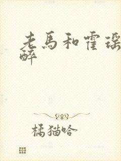 老马和霍瑶瑶喝醉