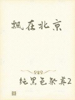 飘在北京
