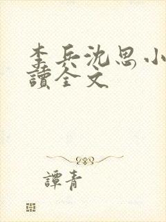 李兵沈思小说阅读全文封面