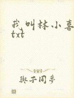 我叫林小喜小说txt