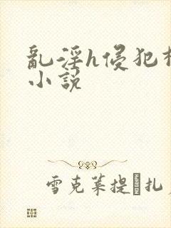 乱淫h侵犯柳神小说封面