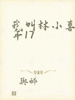 我叫林小喜 今年17