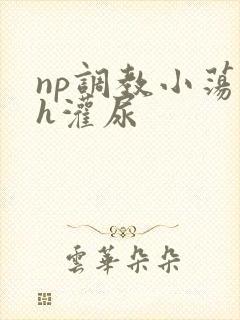 np调教小荡货h灌尿