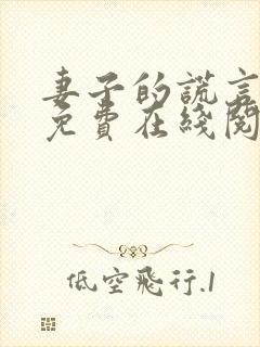 妻子的谎言小说免费在线阅读封面