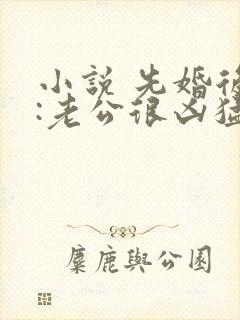 小说 先婚后爱:老公很凶猛