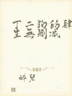 丁二狗的肆意人生无删减封面
