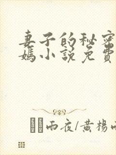 妻子的秘密佟与嫣小说免费阅读封面