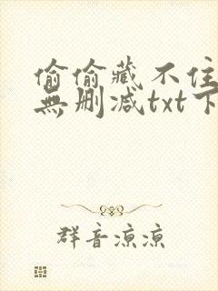 偷偷藏不住全文无删减txt下载