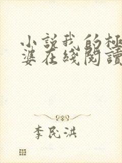 小说我的极品老婆在线阅读全文