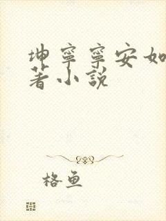 坤宁宁安如梦原著小说