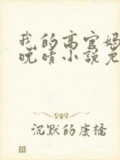 我的高官妈妈苏晚晴小说免费阅读
