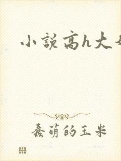 小说高h大奶