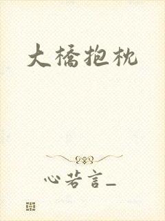 大桥抱枕