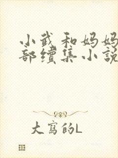 小武和妈妈第二部续集小说在线阅读