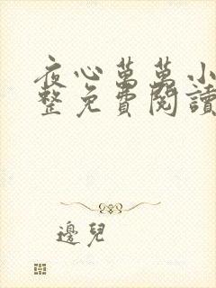 夜心万万小说完整免费阅读全文