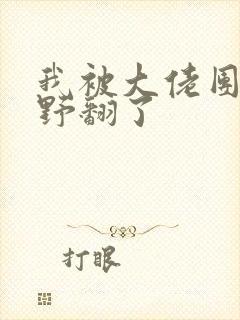 我被大佬团宠我野翻了