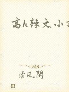 高h辣文小说封面