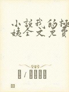 小说我的极品小姨全文免费阅读