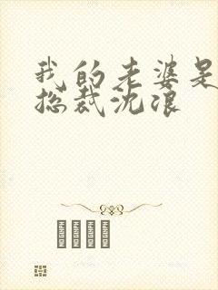 我的老婆是冰山总裁沈浪