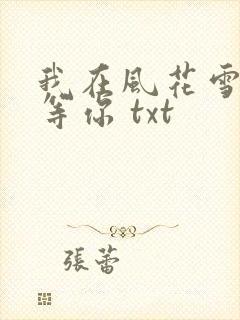 我在风花雪月里等你 txt