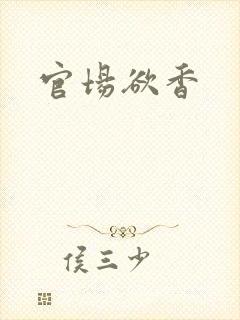官场欲香封面
