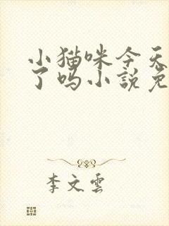 小猫咪今天捣乱了吗小说免费阅读