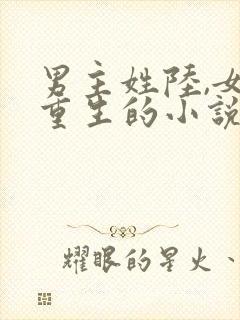 男主姓陆,女主重生的小说