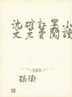 沈确许墨小说全文免费阅读