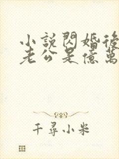 小说闪婚后发现老公是亿万富豪
