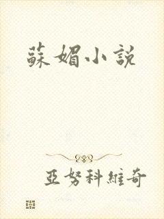 苏媚小说封面