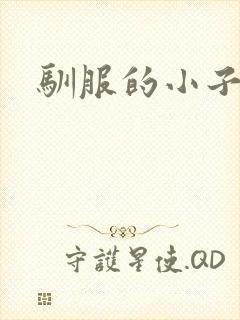 驯服的小子4