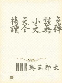 杨天小说免费阅读全文无弹窗