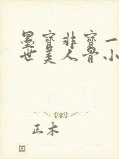 墨宝非宝一生一世美人骨小说