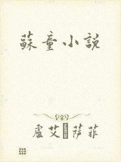 苏童小说