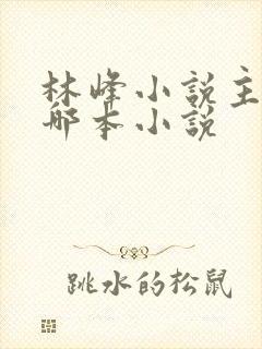 林峰小说主角是哪本小说