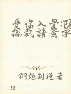 爱你入骨:隐婚总裁请签字小说txt封面