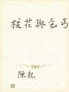 校花与乞丐后续
