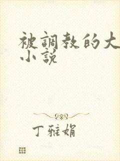 被调教的大小姐小说